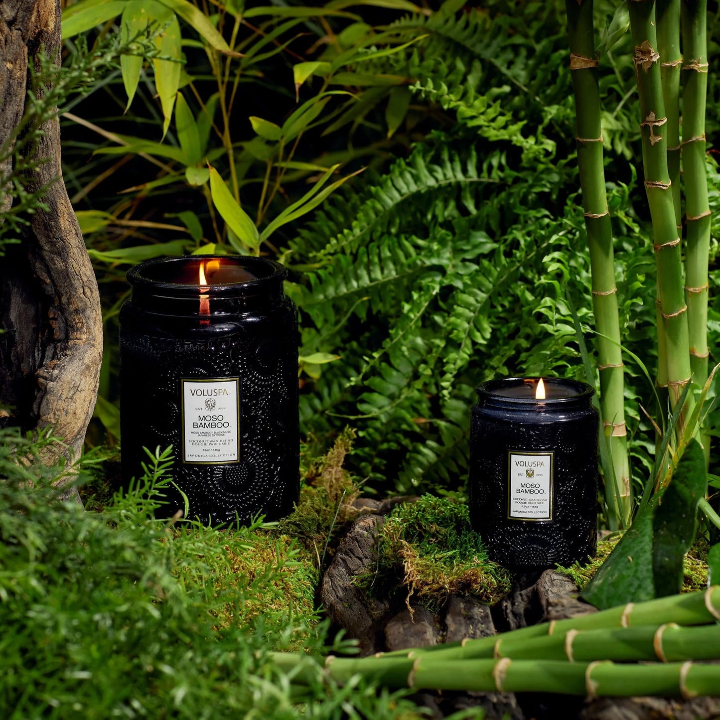 Moso Bamboo - Voluspa
